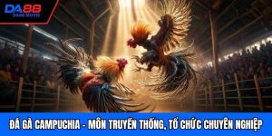 Đá Gà Campuchia - Môn Truyền Thống, Tổ Chức Chuyên nghiệp